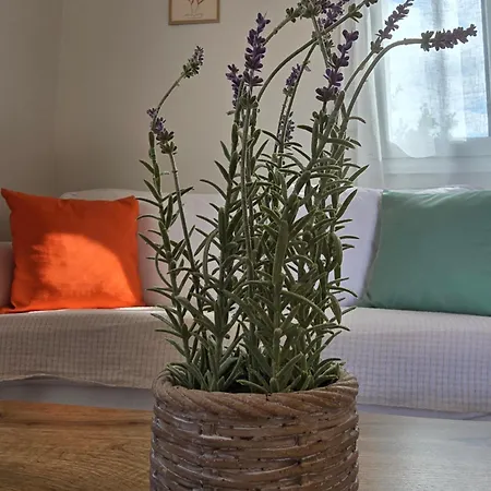 Apartment Loft Vrachati