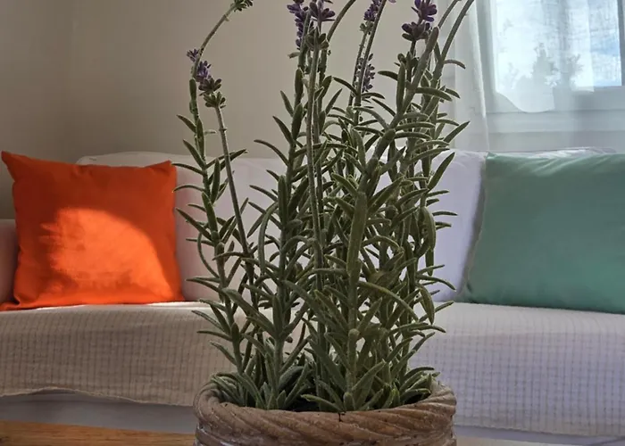 Apartman Loft Vraháti